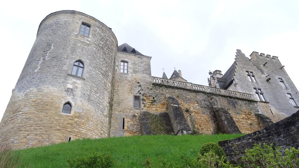 Au Pied Du Chateau - 5 A 11 Personnes - Baignade-Canoe-Piste Cyclable A 100 M Castelnaud La Chapelle Bilik gambar