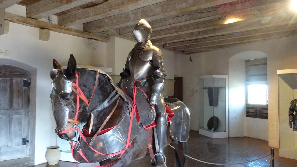 Au Pied Du Chateau - 5 A 11 Personnes - Baignade-Canoe-Piste Cyclable A 100 M Castelnaud La Chapelle Luaran gambar