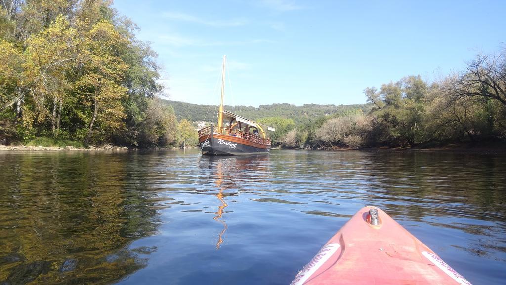Au Pied Du Chateau - 5 A 11 Personnes - Baignade-Canoe-Piste Cyclable A 100 M Castelnaud La Chapelle Luaran gambar