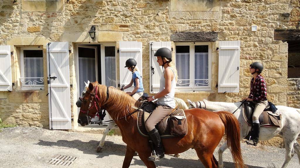 Au Pied Du Chateau - 5 A 11 Personnes - Baignade-Canoe-Piste Cyclable A 100 M Castelnaud La Chapelle Luaran gambar